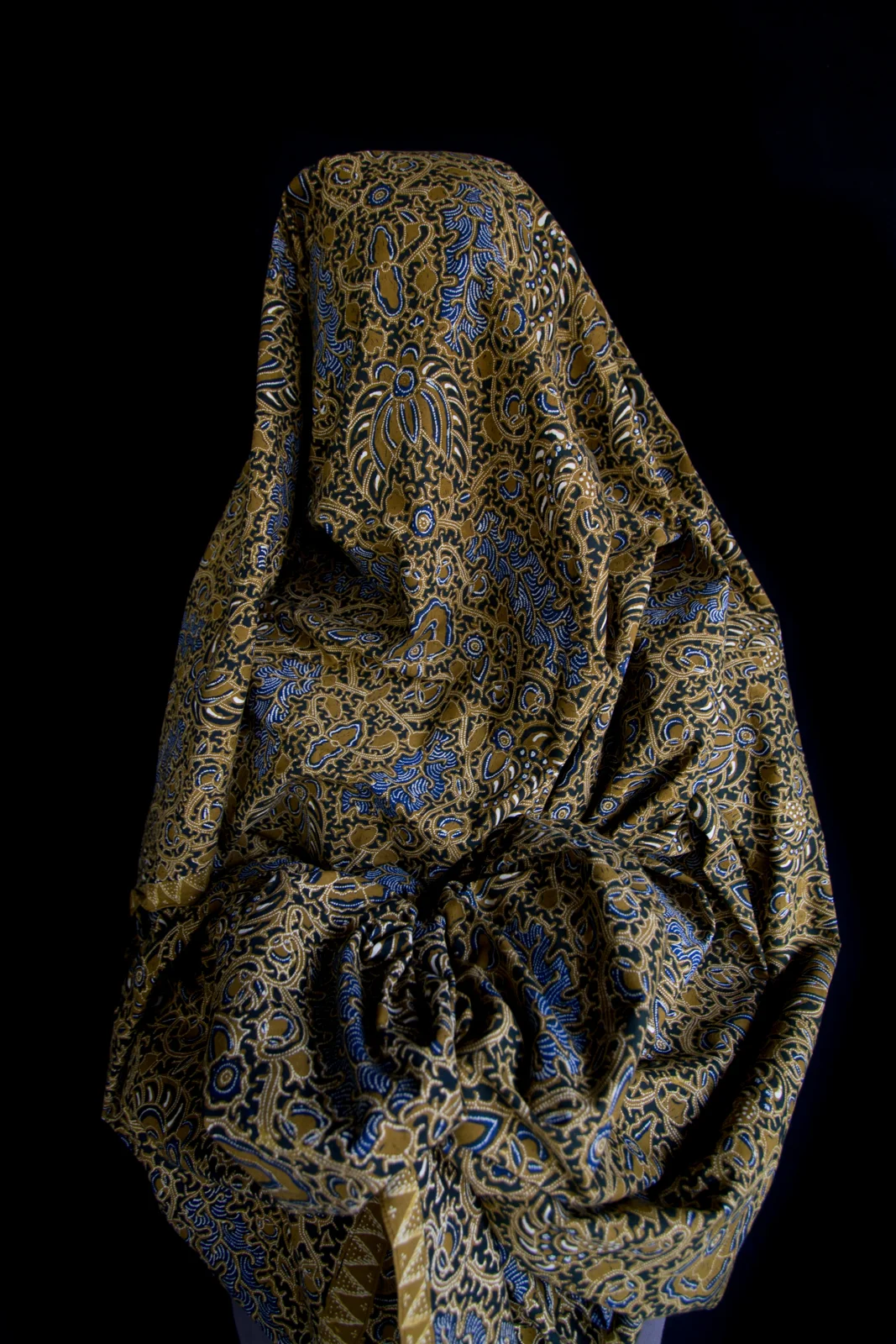 Alia Ali — Arts Connect International